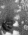 Hiding In Plain Sight, Susan Morris